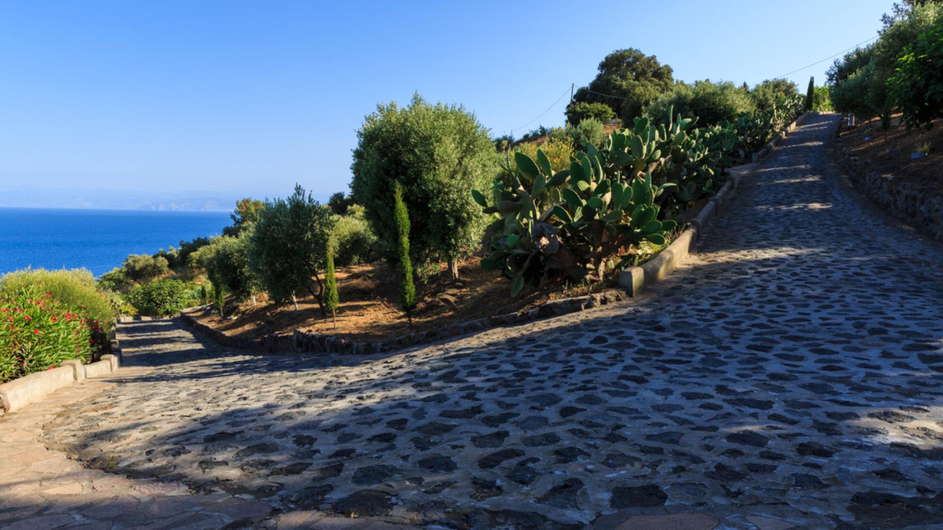 Strada acciottolata tra piante e mare, con cielo limpido e vegetazione mediterranea.